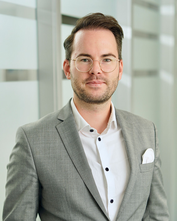 Prof. Dr. Mario Henry Meuthen, Steuerberater